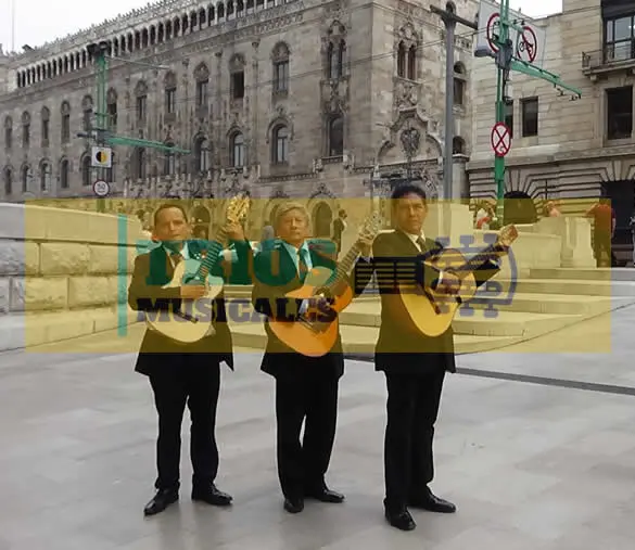 trio romántico en Cuauhtémoc 
