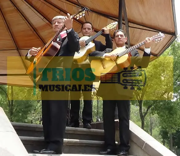 trio romántico en Miguel Hidalgo 