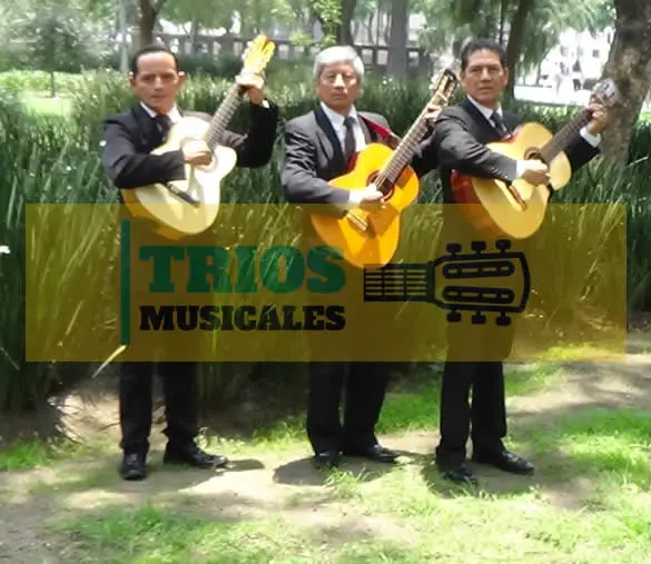 trio romántico en Venustiano Carranza 