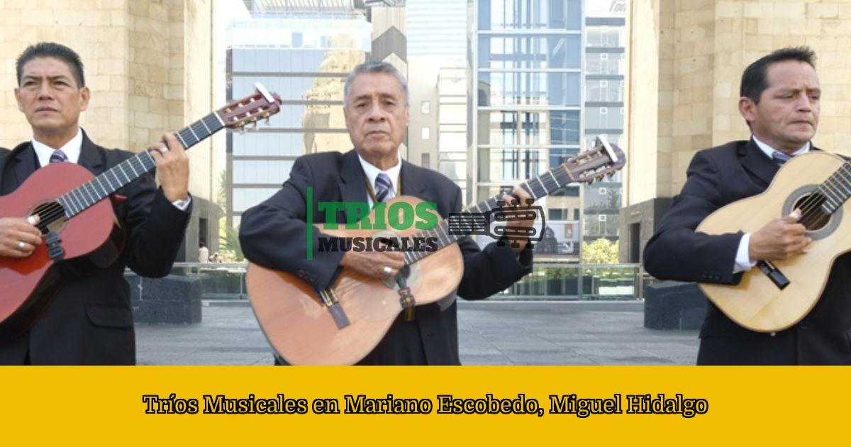 Tríos Musicales en Mariano Escobedo, Miguel Hidalgo