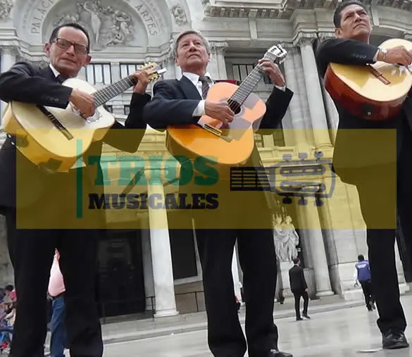 trio romántico en la Colonia Hacienda de las Palmas 