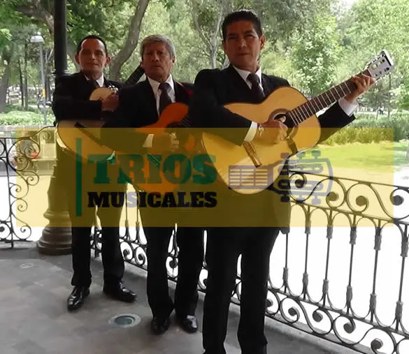 trio romántico en la Colonia Lomas Verdes 