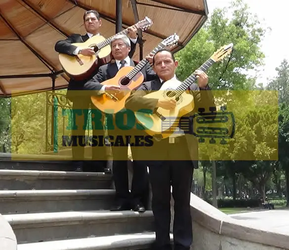 trio romántico en la Colonia Prado Churubusco 