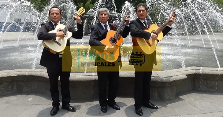 trio romántico en la Colonia Santa Teresa 