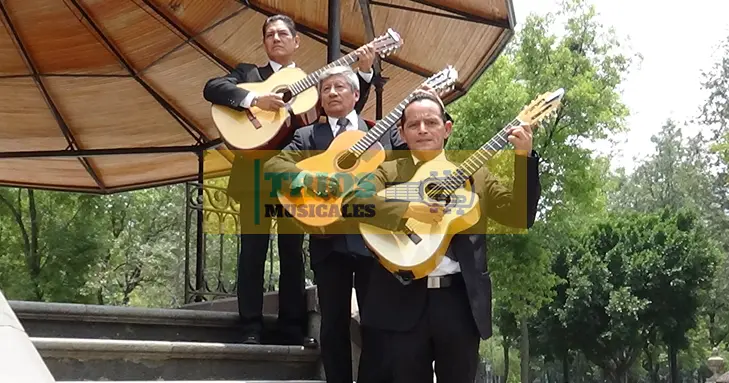 trio romántico en la Colonia Tlalcoligia 