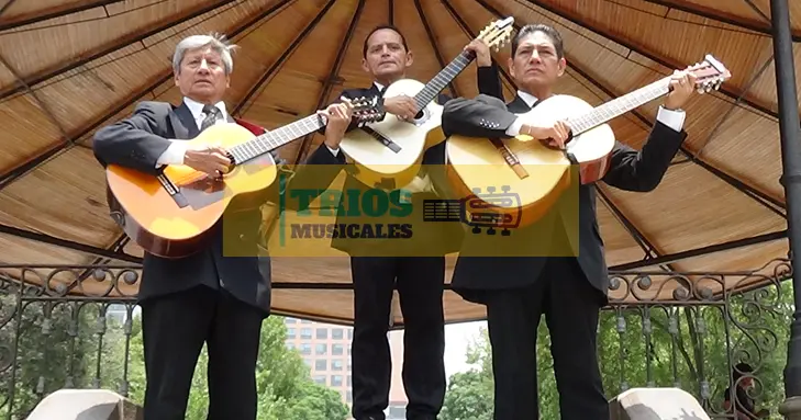 trio romántico en la Colonia Santa María Tulpetlac 